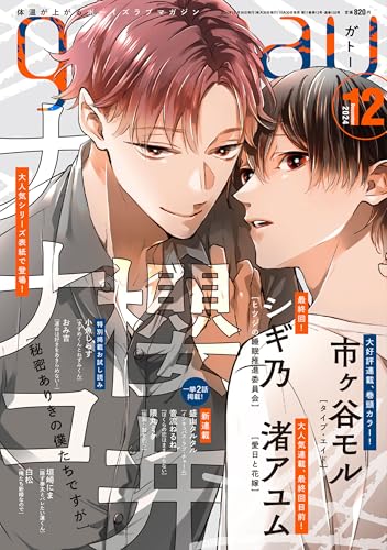 gateau2024年12月号