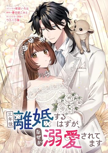 三年後離婚するはずが、なぜか溺愛されてます　【連載版】: 11 (ZERO-SUMコミックス)