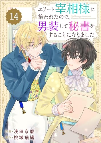 Berry&rsquo;sFantasyエリート宰相様に拾われたので、男装して秘書をすることになりました14巻 (Berry&rsquo;s COMICS)