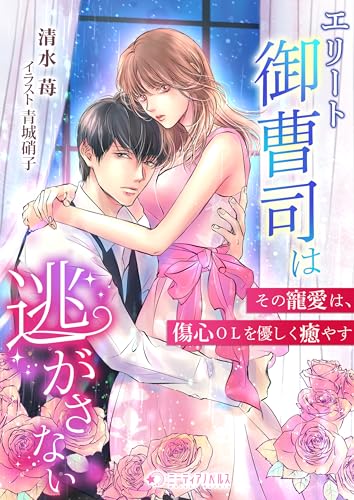エリート御曹司は逃がさない~その寵愛は、傷心olを優しく癒やす~ (ミーティアノベルス)
