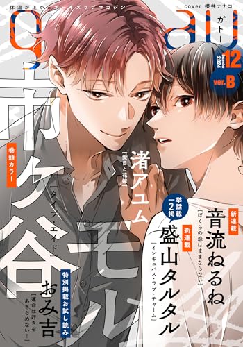 gateau (ガトー) 2024年12月号[雑誌] ver.B