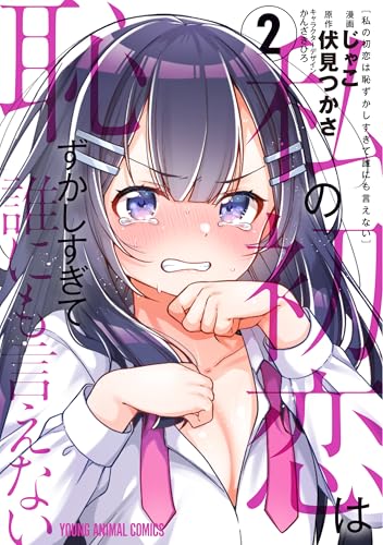 私の初恋は恥ずかしすぎて誰にも言えない 2巻 表紙