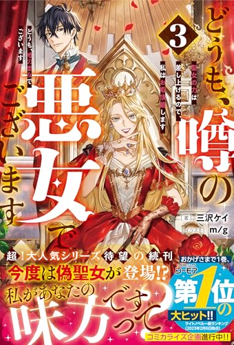 どうも、噂の悪女でございます3　聖女の力は差し上げるので、私はお暇頂戴します【電子限定ss付き】 (ベリーズファンタジー)