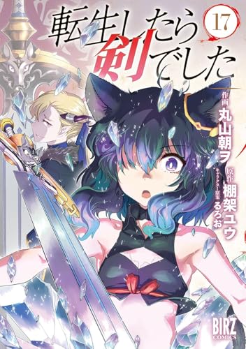 転生したら剣でした 17巻 表紙