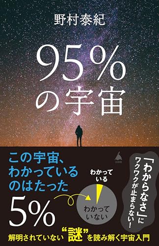 95%の宇宙　解明されていない“謎”を読み解く宇宙入門 (sb新書)