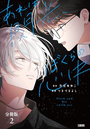 【分冊版】あれは閃光、ぼくらの心中(2) (seasons)