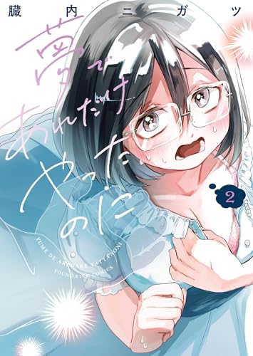 夢であれだけやったのに 2巻 表紙