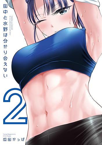 田中と水野は分かり合えない 2巻 表紙