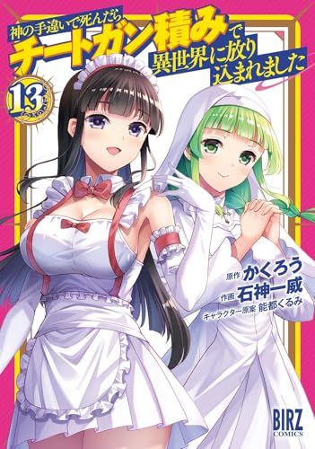 神の手違いで死んだらチートガン積みで異世界に放り込まれました 13巻 表紙
