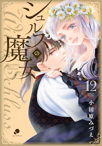 シュルスの魔女 12巻 表紙