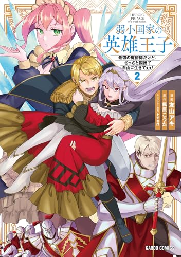 弱小国家の英雄王子〜最強の魔術師だけど、さっさと国出て自由に生きてぇぇ！〜 2巻 表紙