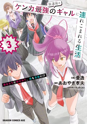 放課後はケンカ最強のギャルに連れこまれる生活 彼女たちに好かれて、僕も最強に！？ 3巻 表紙