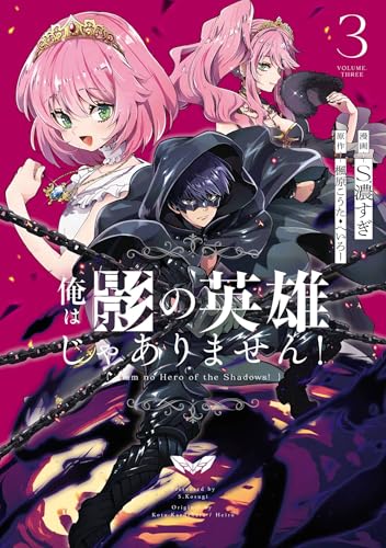 俺は影の英雄じゃありません！ 3巻 表紙