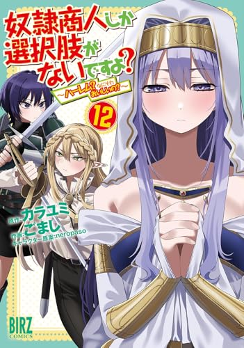奴隷商人しか選択肢がないですよ？〜ハーレム？なにそれおいしいの？〜 12巻 表紙