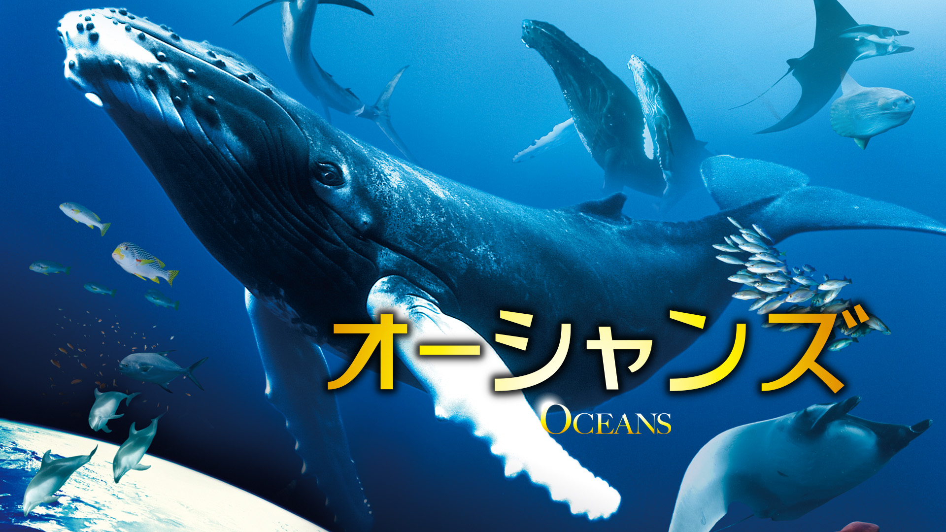 Amazon Co Jp 葛西臨海水族園の世界を観る Prime Video