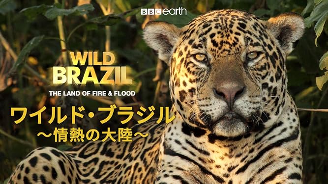 Amazon Co Jp ワイルド ブラジル 情熱の大陸 吹替版 を観る Prime Video