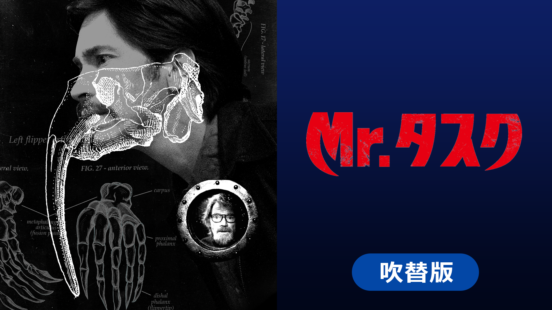 Amazon Co Jp 少女椿を観る Prime Video