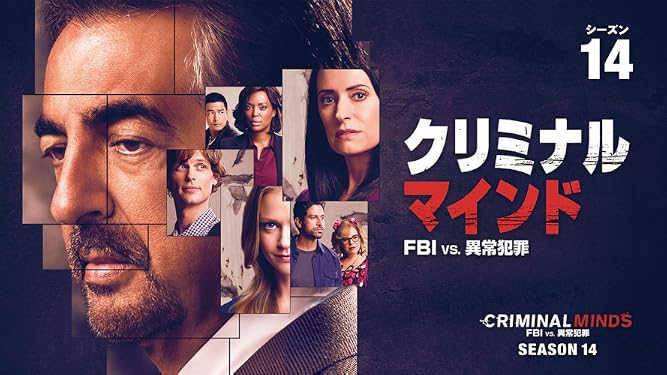 Amazon Co Jp クリミナル マインド Fbi Vs 異常犯罪 シーズン1 字幕版 を観る Prime Video