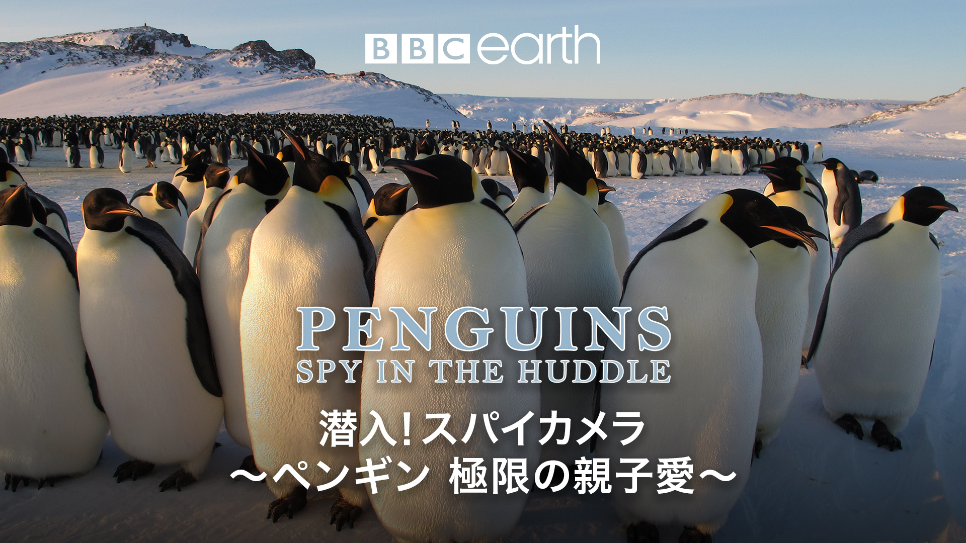 Amazon Co Jp 皇帝ペンギン 字幕版 を観る Prime Video