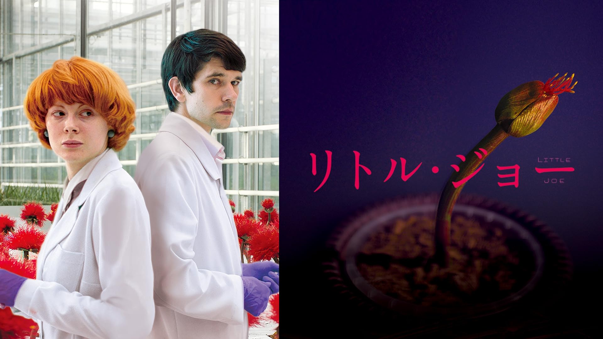 Amazon Co Jp マーメイド イン パリ 字幕版 を観る Prime Video