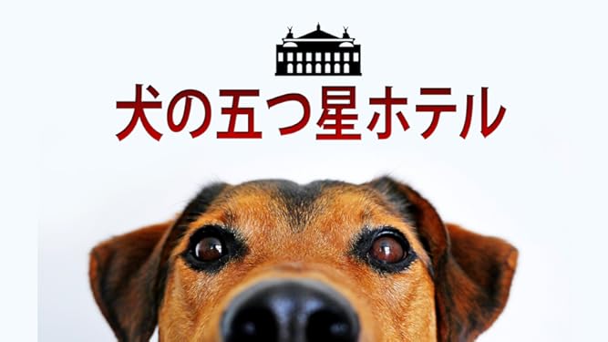 Amazon Co Jp 犬の五つ星ホテルを観る Prime Video