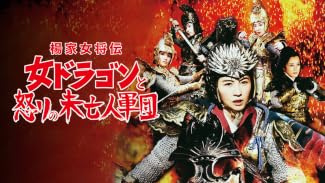 楊家女将伝 ~女ドラゴンと怒りの未亡人軍団~ (字幕版)