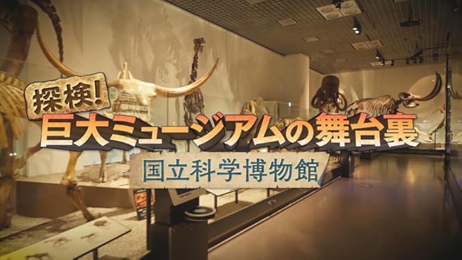 Amazon Co Jp 探検 巨大ミュージアムの舞台裏 国立科学博物館 Nhkオンデマンド を観る Prime Video
