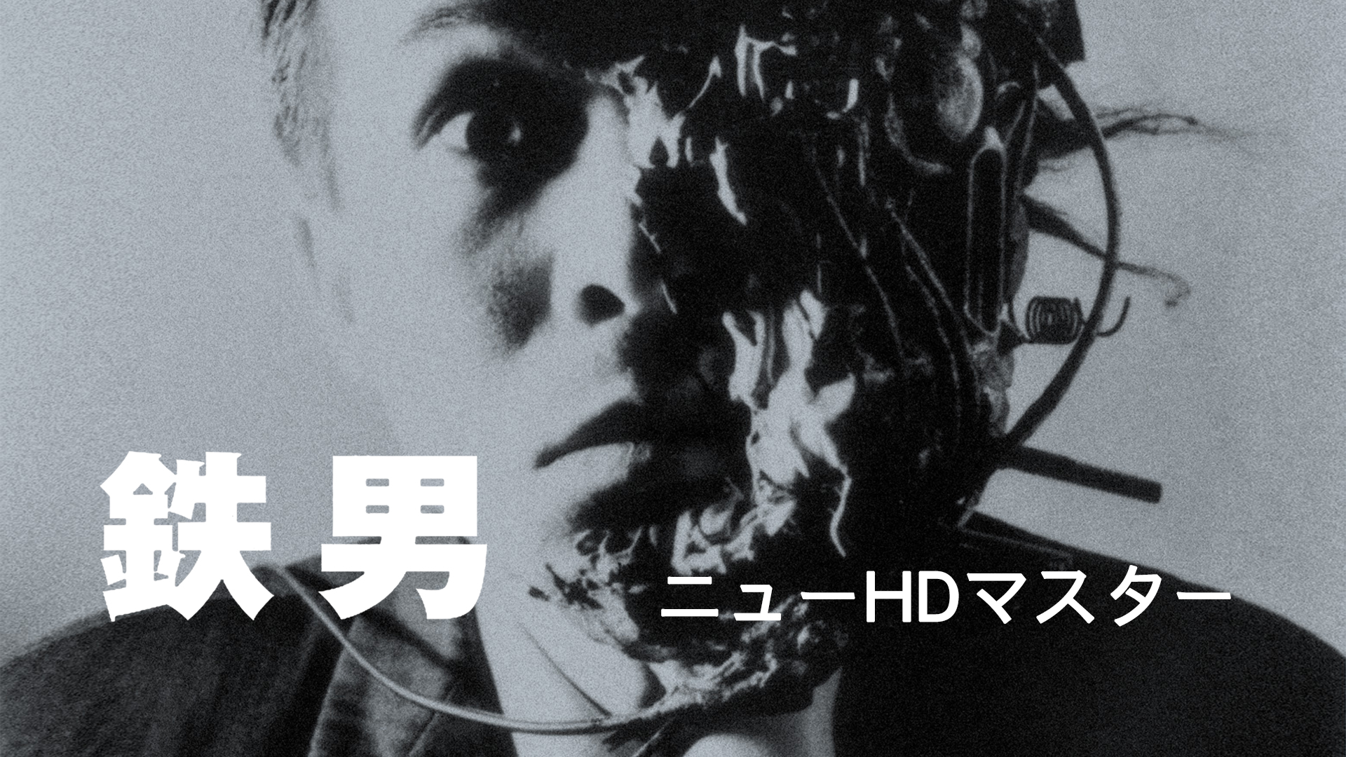 Amazon Co Jp Kotokoを観る Prime Video