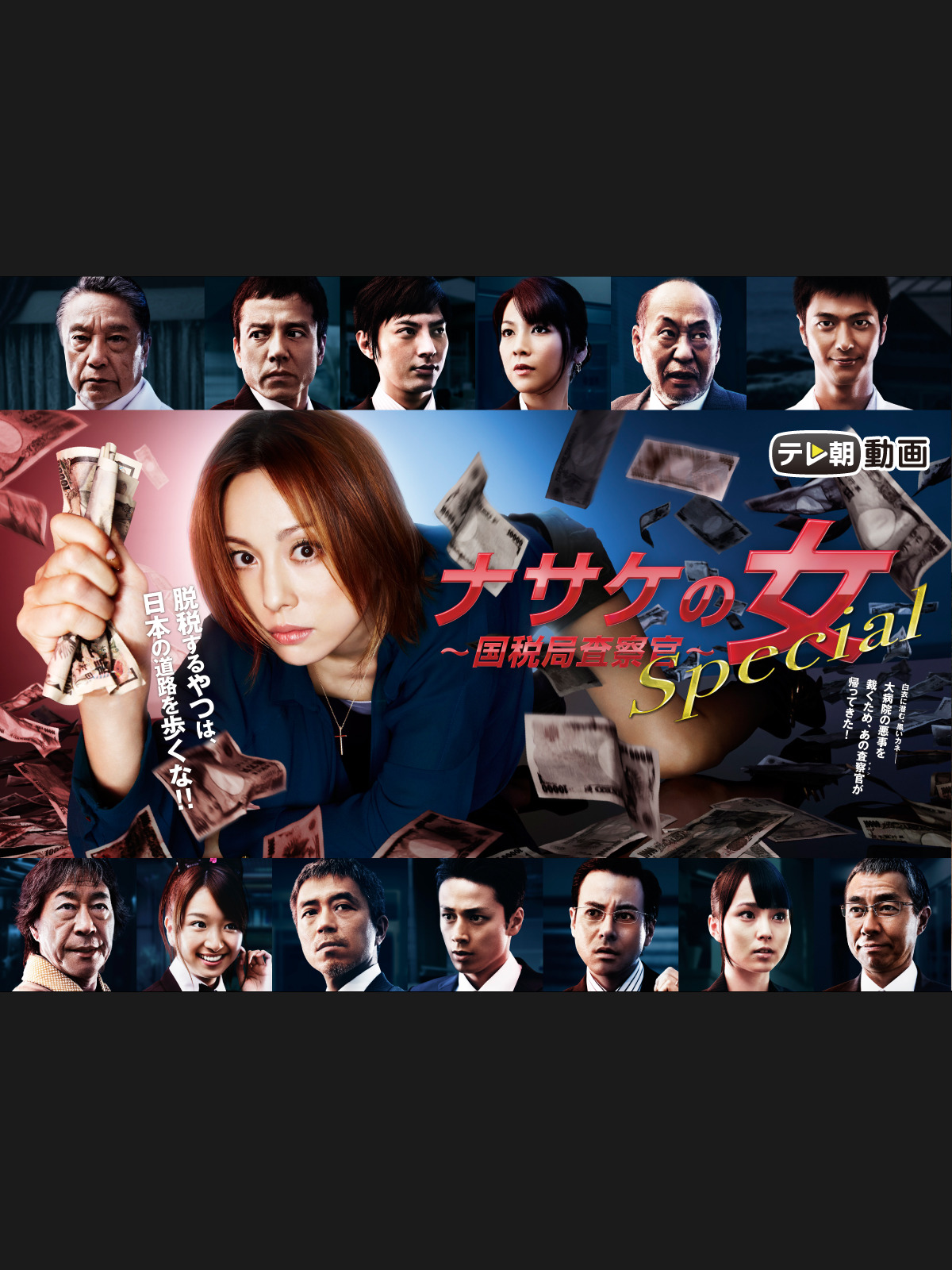 ナサケの女 ~国税局査察官~ (米倉涼子 出演) [DVD]( 未使用品)