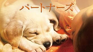 Amazon Co Jp 星守る犬を観る Prime Video
