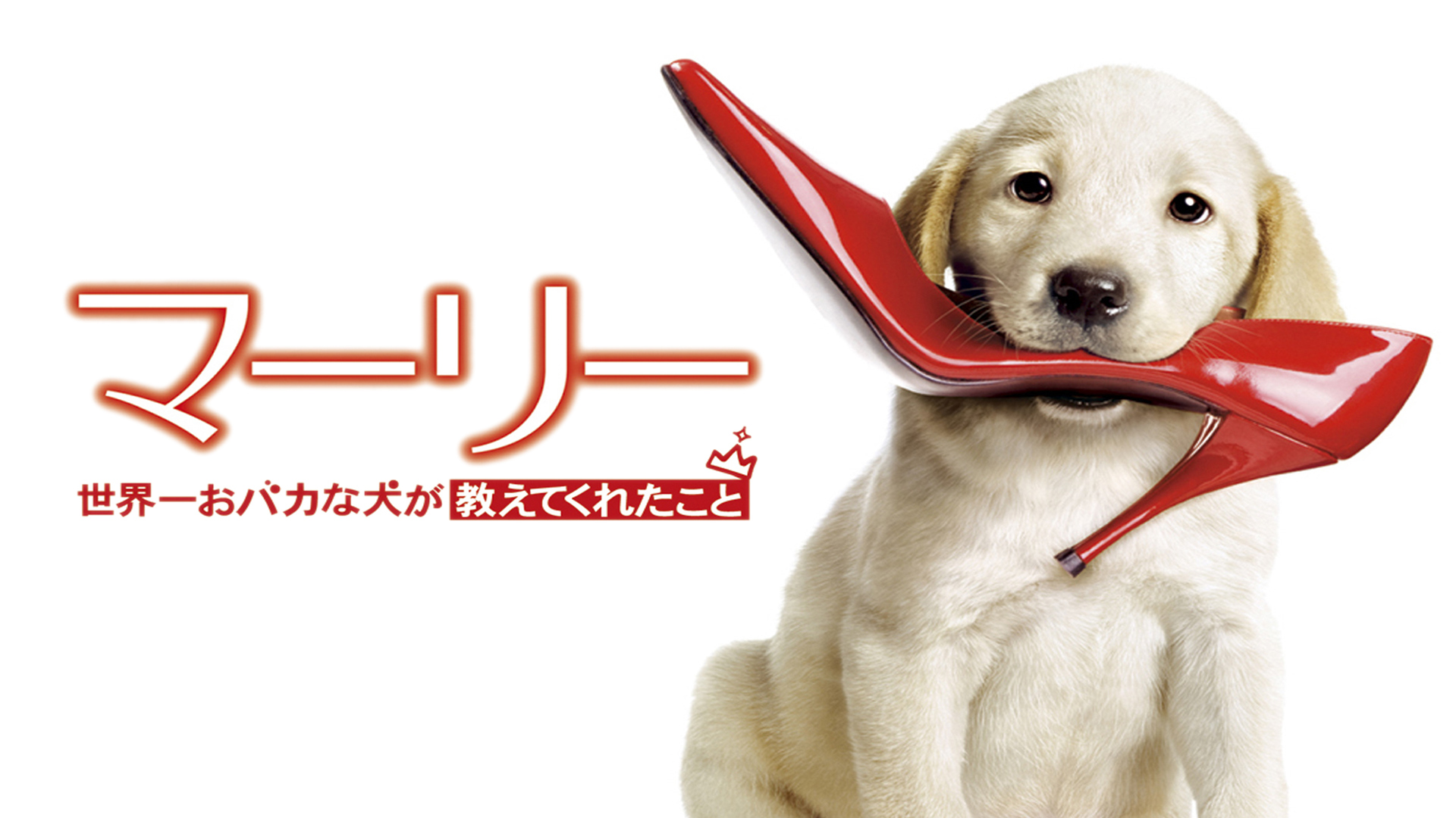 Amazon Co Jp Hachi 約束の犬 字幕版 を観る Prime Video