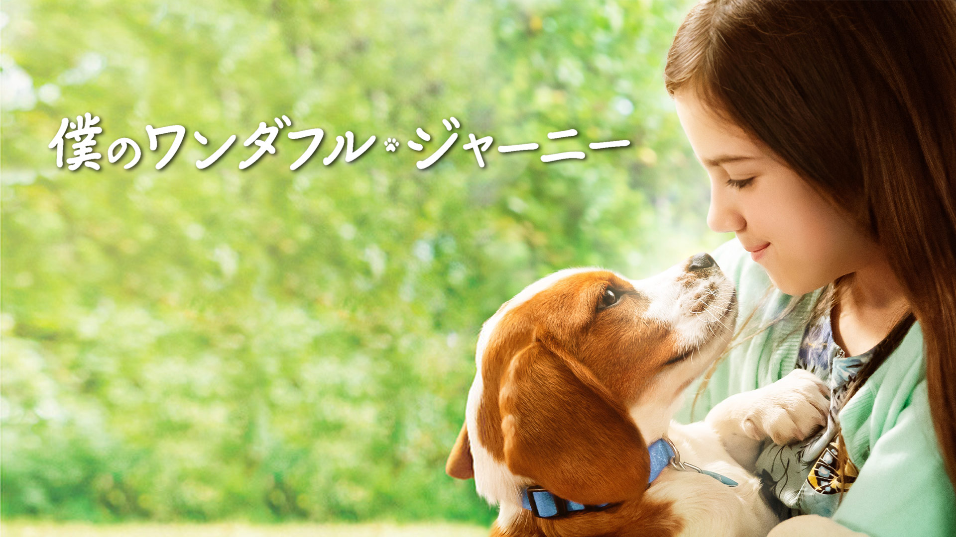 Amazon Co Jp ホテル バディーズ ワンちゃん救出大作戦 字幕版 を観る Prime Video