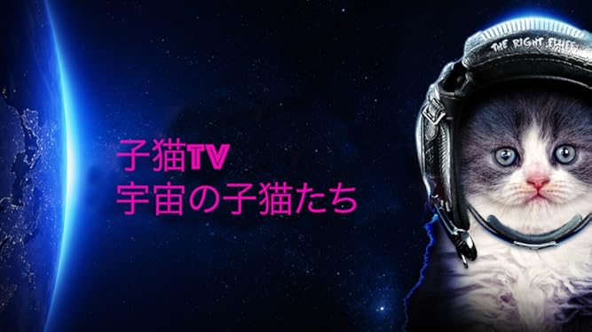 Amazon Co Jp ビデオクリップ 子猫tv 宇宙の子猫たちを観る Prime Video