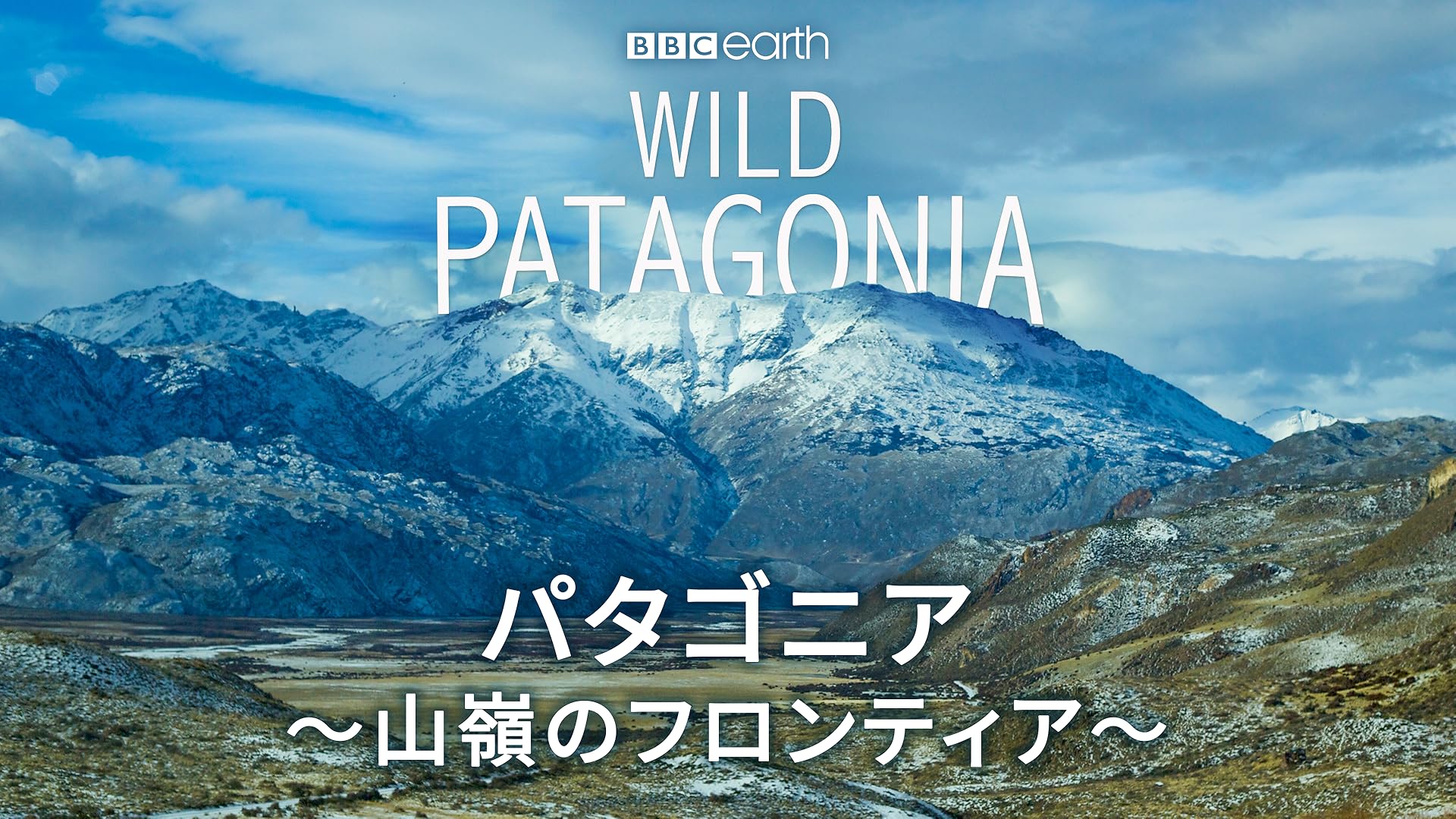 Amazon Co Jp ザ 森男を観る Prime Video