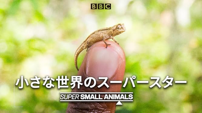 Amazon Co Jp 小さな世界のスーパースター 吹替版 を観る Prime Video