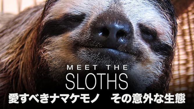 amazon co jp 愛すべきナマケモノ その意外な生態 吹替版 を観る prime video