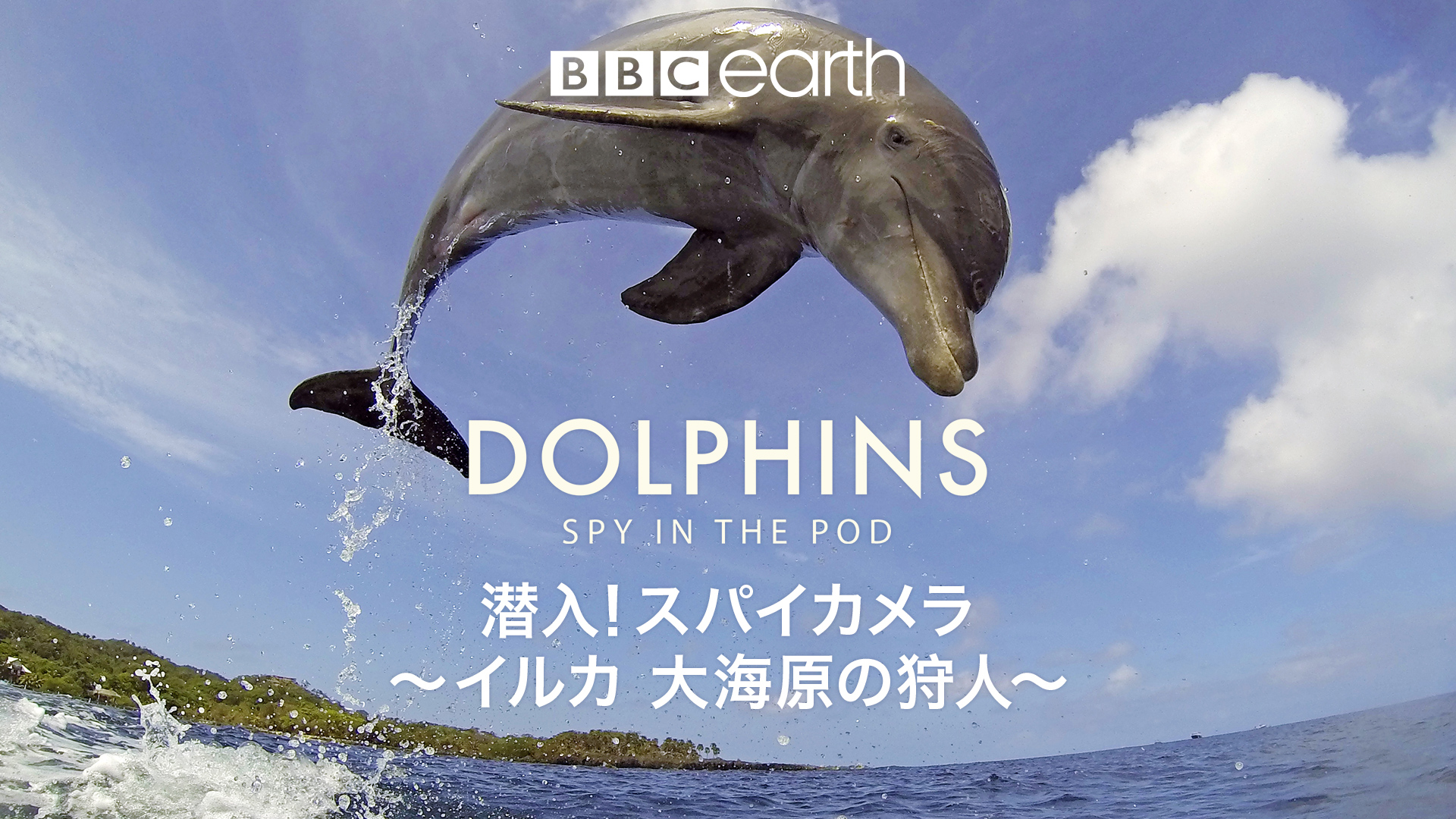 Amazon Co Jp 潜入 スパイカメラ ペンギン 極限の親子愛 字幕版 を観る Prime Video