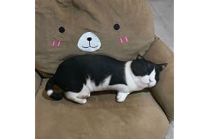 ぬいぐるみ 猫可愛い 動物抱き枕 動物ぬいぐるみ 60CM 超リアル 3D 大きい 本物そっくり もちもち かわいい アニマルり クッション 抱きまくら 誕生日 ギフト だきまくら 添い寝まくら 子供 キッズ プレゼント 部屋飾り